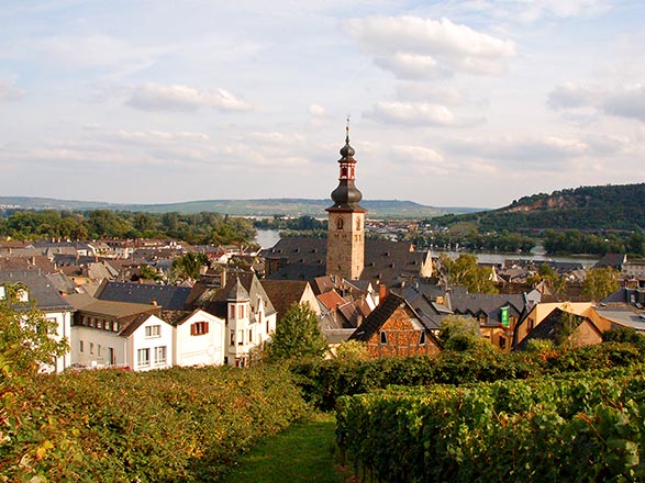 Escale Rudesheim (Allemagne)